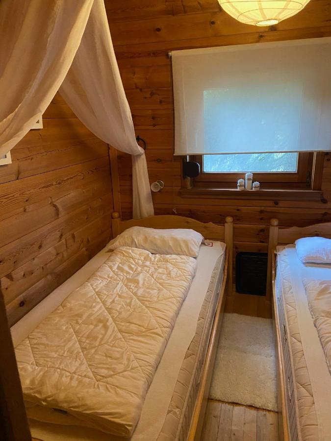 Villa Blockhaus Ferienzauber Bromskirchen Esterno foto